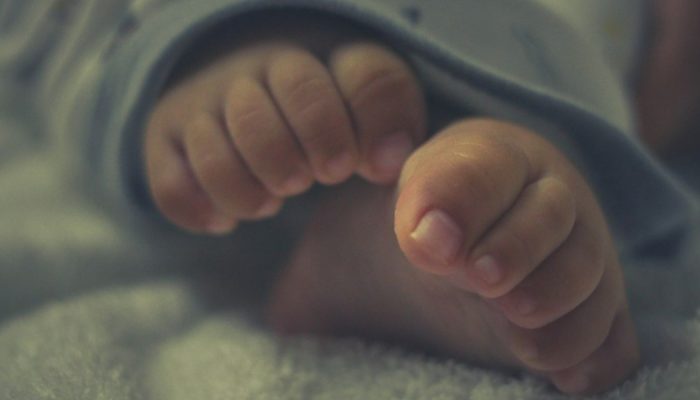 Imagem ilustrativa. (Foto: Unsplash/James V Sajeeve)