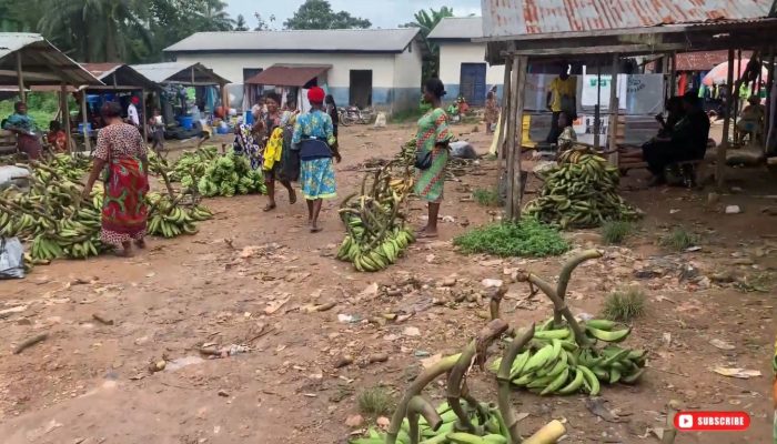 Cidades Polícia Federal prende homem por armazenar material de abuso sexual infantil em Paraty
