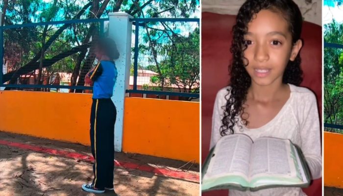 Safira Emanuele foi atacada por um enxame de abelha em Ibirité. (Foto: Reprodução/YouTube/Moto...